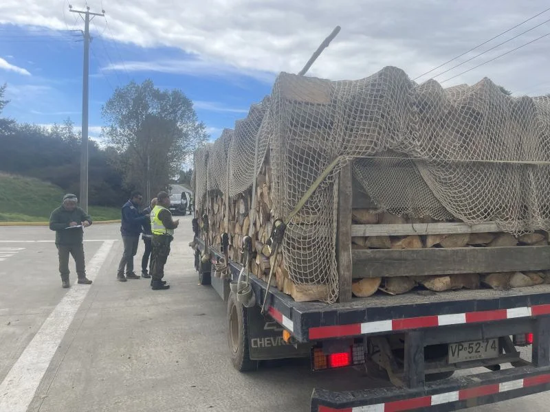Intensifican fiscalizaciones al transporte de madera nativa en Los Muermos