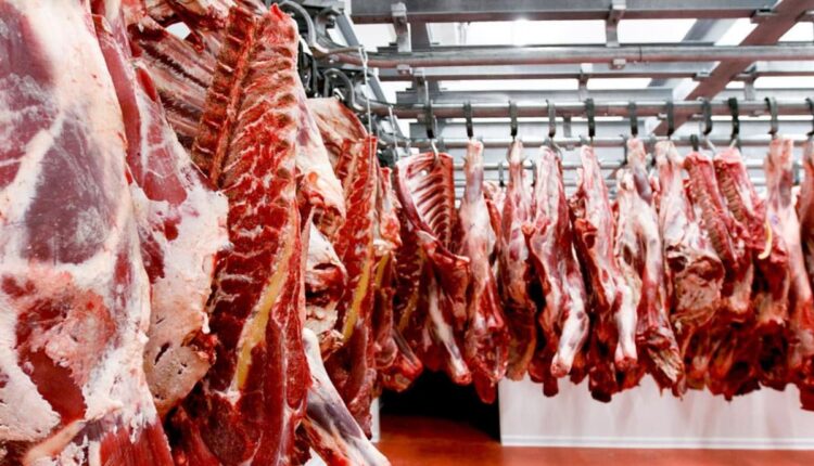 Bajó la producción de carne bovina en las regiones de los Ríos y Los Lagos