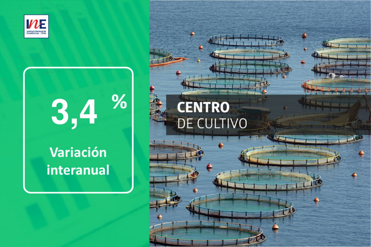 Desembarque pesquero totalizó 89 mil 144 toneladas en la Región de Los Lagos en el mes de marzo