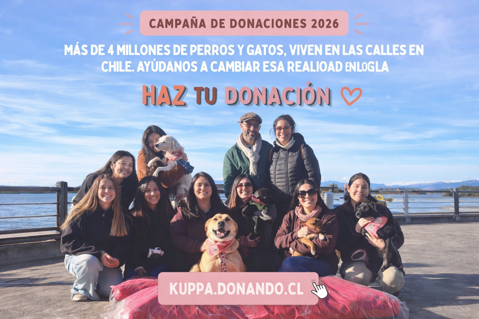 Corporación Kuppa realiza campaña solidaria para luchar contra el abandono de mascotas