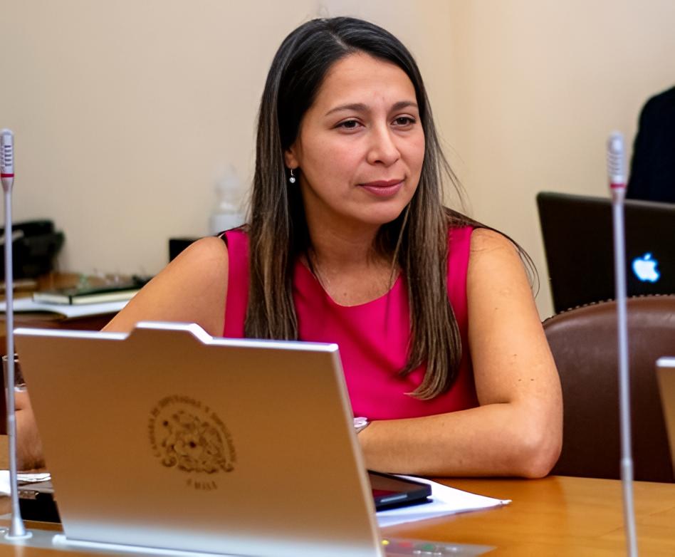 “¡Basta de promesas!”: diputada Muñoz emplaza al Gobierno por retraso en la protección de los ríos Rahue y Damas en Osorno
