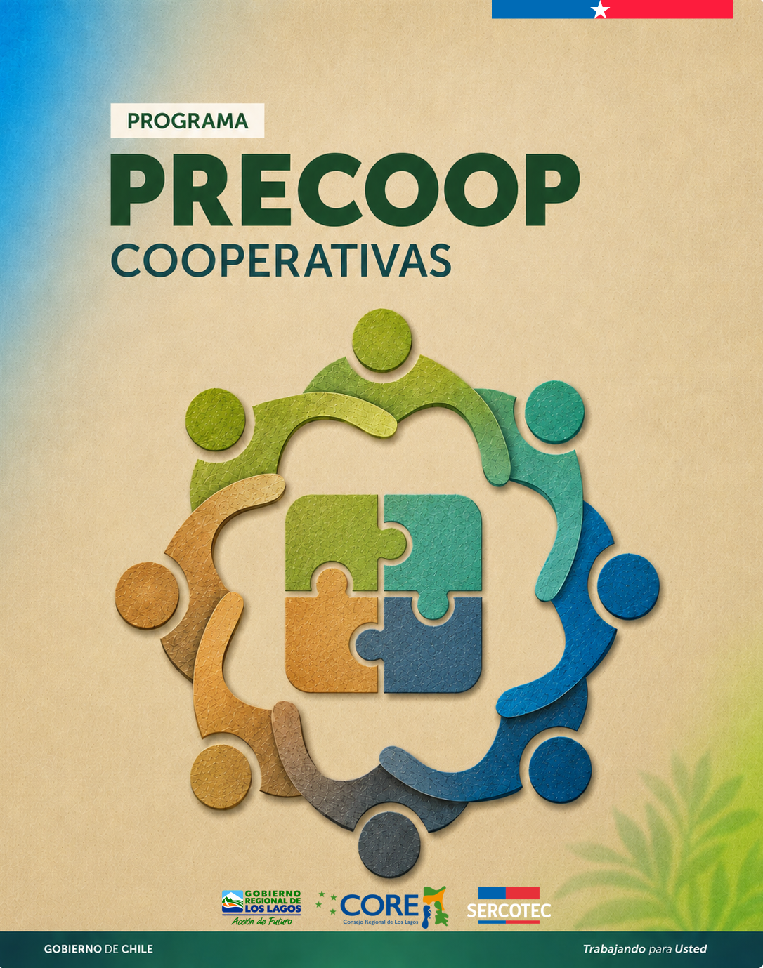 PRECOOP: Sercotec impulsa programa para emprendedores de Los Lagos