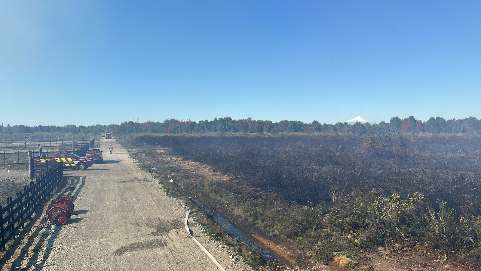 Una amplia zona de matorrales se afectó por el incendio.